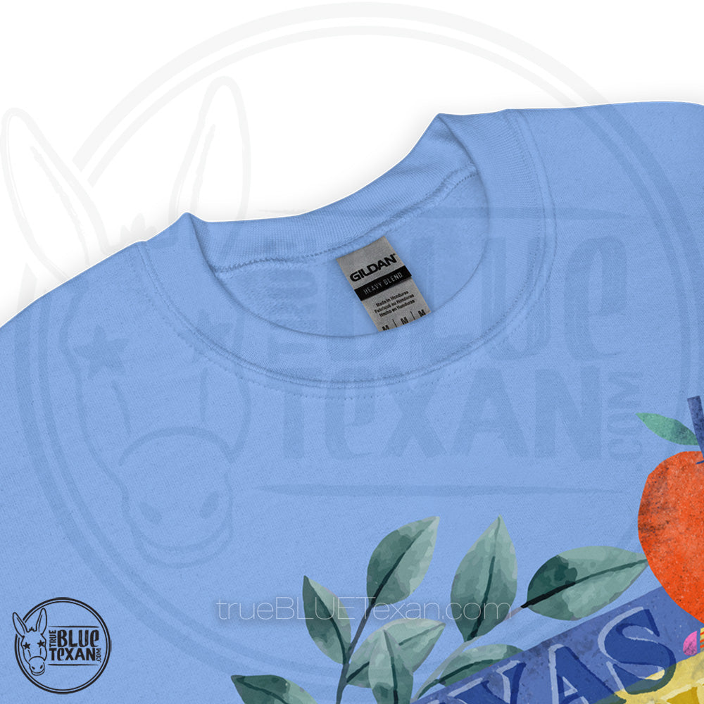 Texas Teachers for Talarico | Unisex Sweatshirt