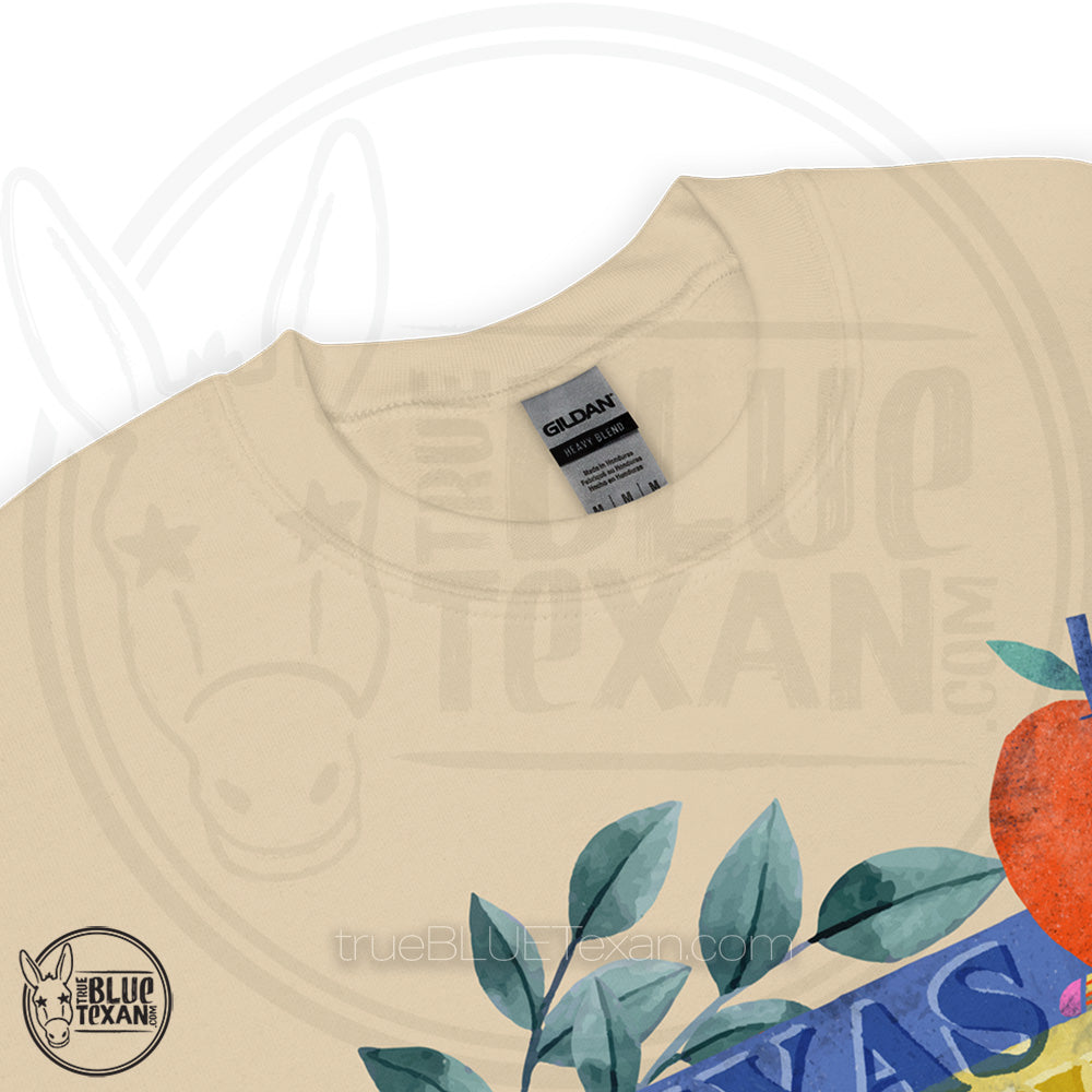 Texas Teachers for Talarico | Unisex Sweatshirt