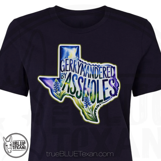 Gerrymandered by Assholes | Women's Relaxed Fit TShirt