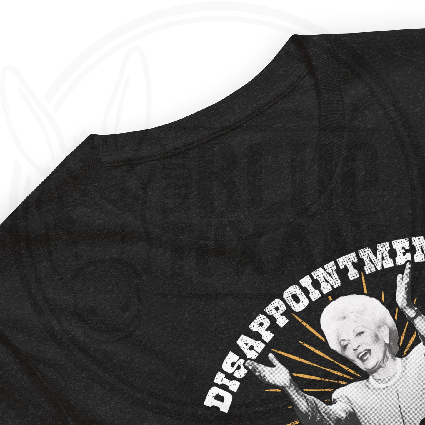 Ann Richards Premium Unisex TShirt (Disappointments - ALL OF THEM) in Heather Black