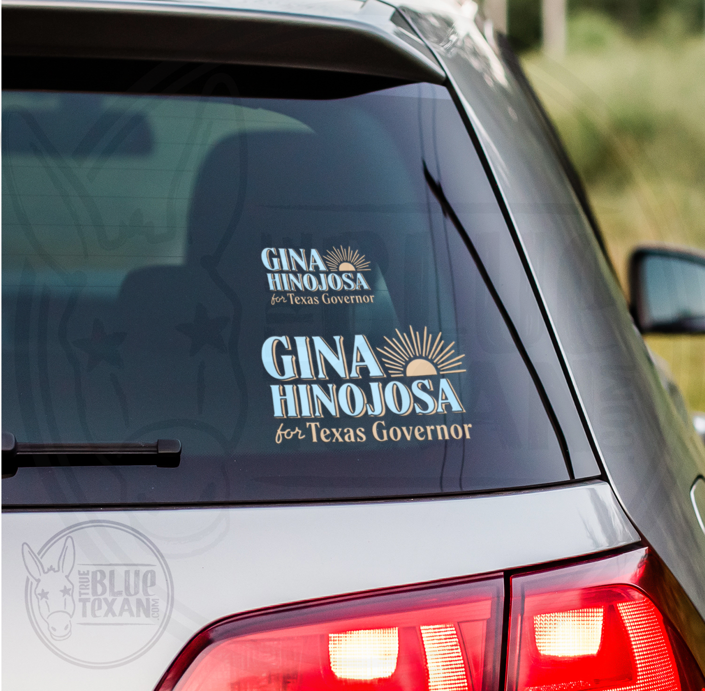 Gina Hinojosa New Day Design | UV Printed Decal Set