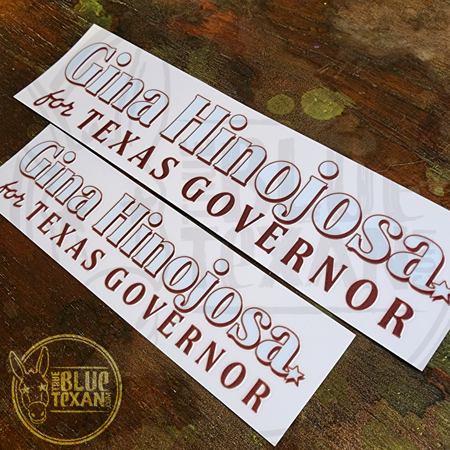 Gina Hinojosa for Texas Governor | UV Printed Perma Decal