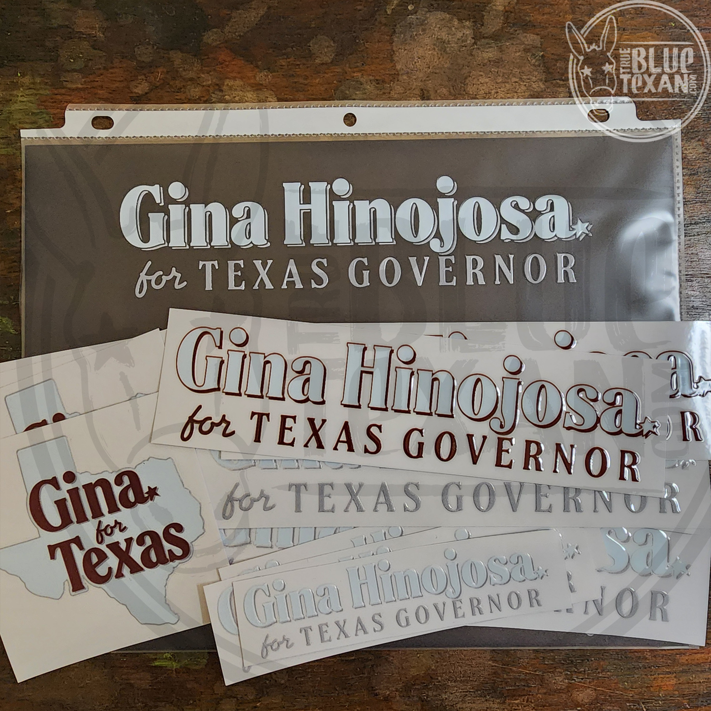 Gina Hinojosa for Texas Governor | UV Printed Perma Decal