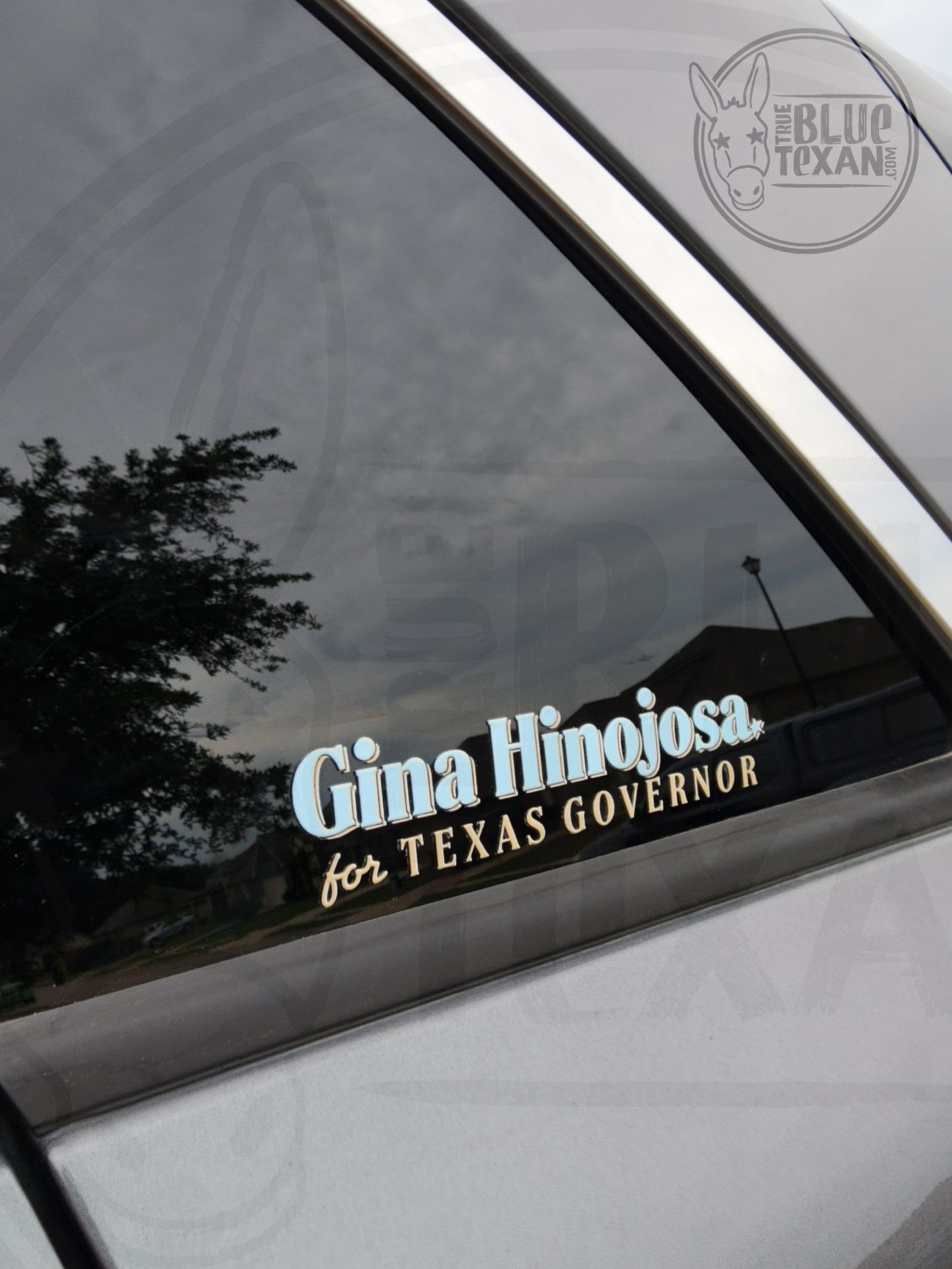 Gina Hinojosa for Texas Governor | UV Printed Perma Decal