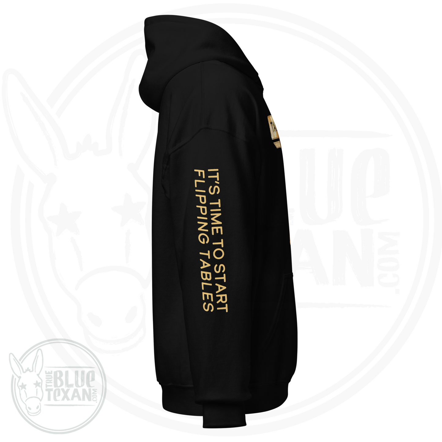 Talarico for Texas w/ Arm Quote | Faux Sunflower Applique | Unisex Hoodie