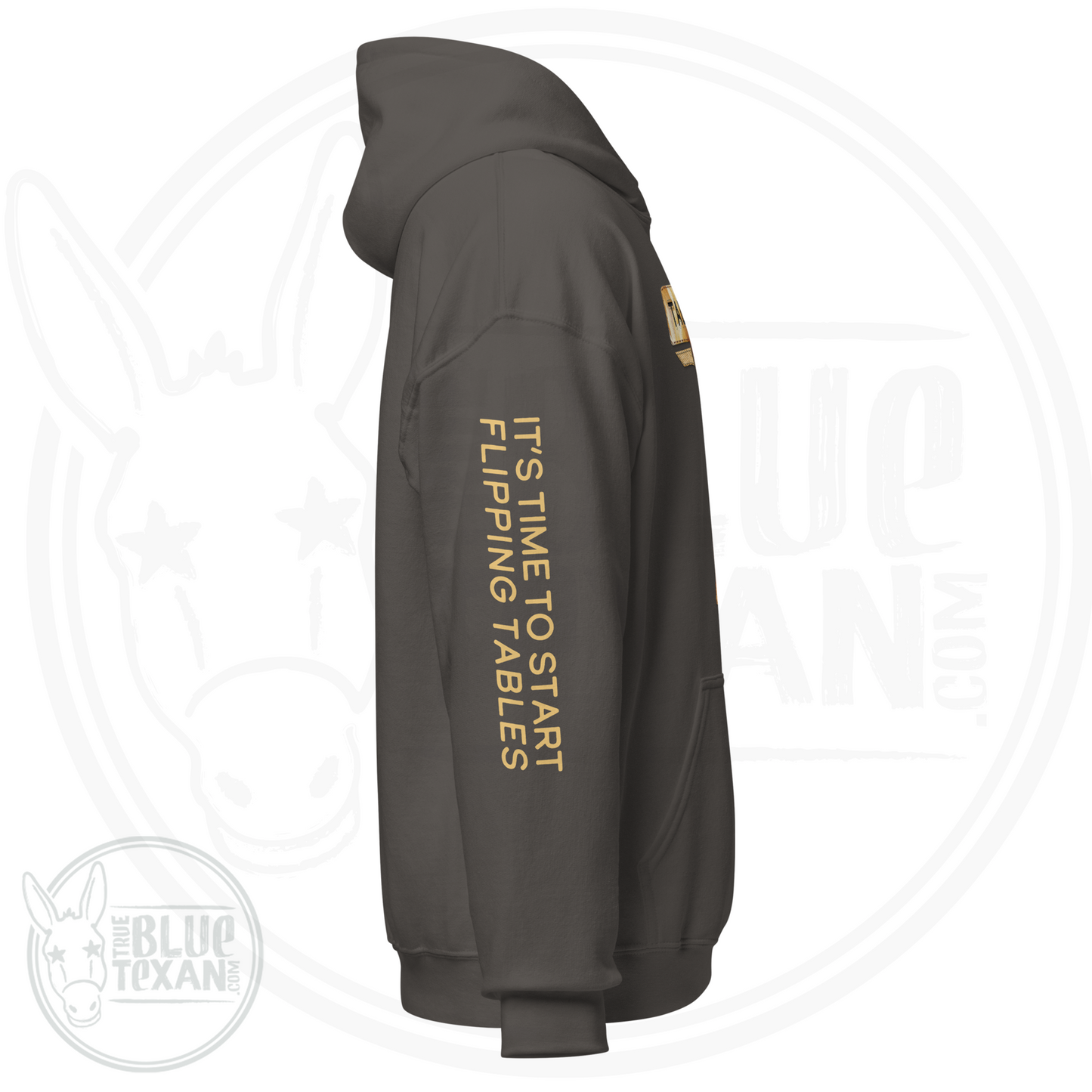 Talarico for Texas w/ Arm Quote | Faux Sunflower Applique | Unisex Hoodie