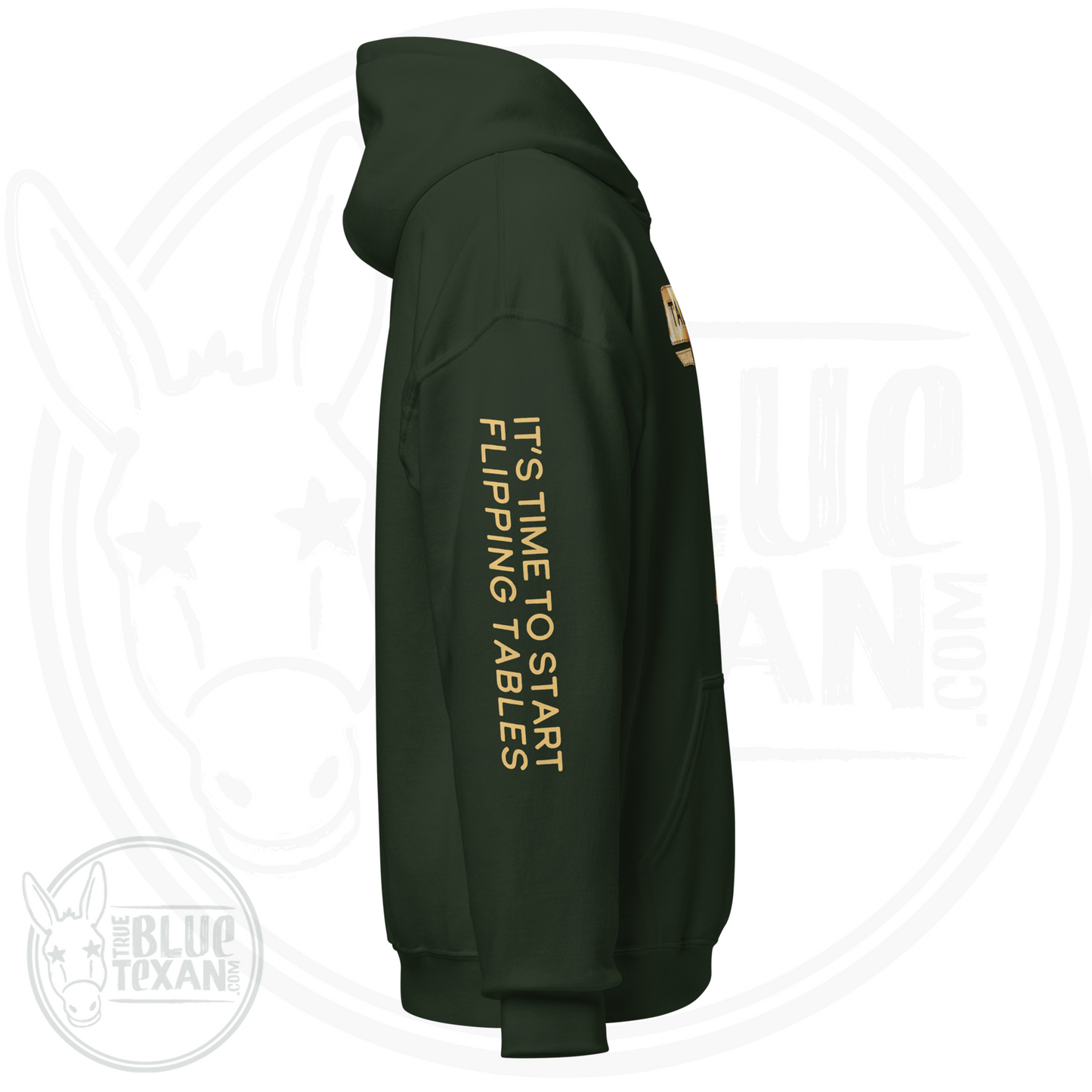 Talarico for Texas w/ Arm Quote | Faux Sunflower Applique | Unisex Hoodie