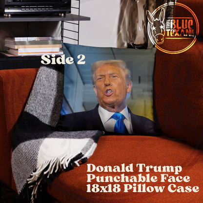 Abbott & Trump Punchable Face Pillow Cases