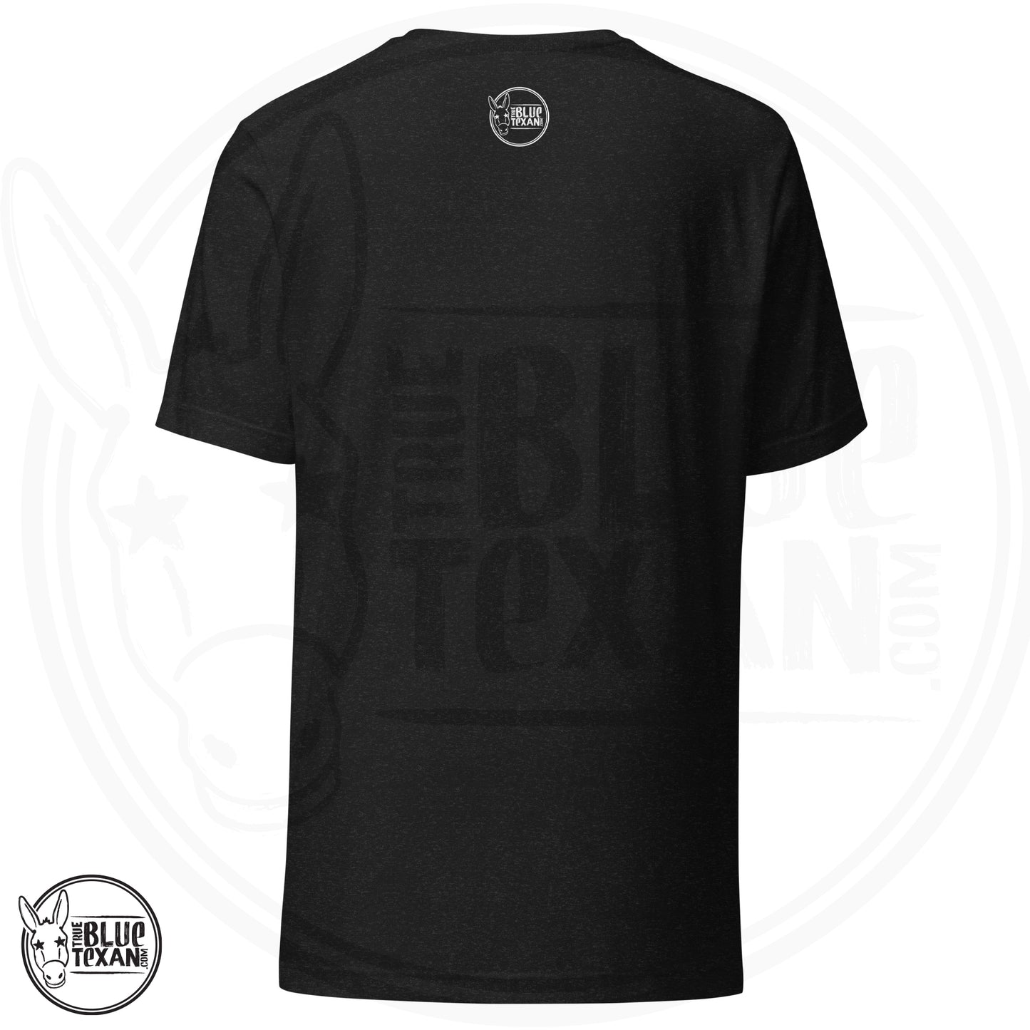 Ann Richards Premium Unisex TShirt (Disappointments - ALL OF THEM) in Heather Black